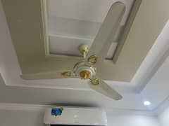 4 ceiling fans used  in two years 2021 September till now