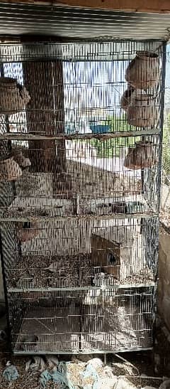 Birds Cage for sale