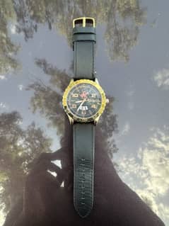 Beverly Hills polo club watch