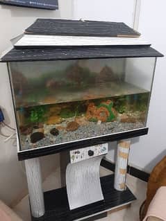 Aquarium with 1 goldfish