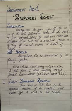 Hand writing assignment work