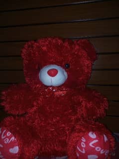 Red stuffed new teddy bear