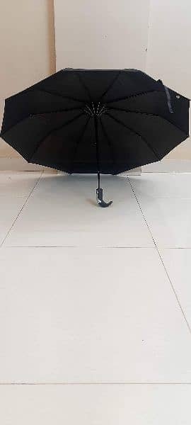 Automatic Umbrella, Pocket Umbrella, Travel Umbrella 1