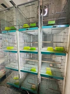perrots lovebird cages 4 portion,box sticks light