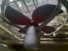 wahid  exhaust fans 24 "
