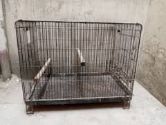 Grey Parrot Cage for sale