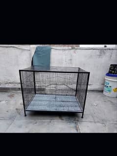 aninmals cage available need condition 10 by 10