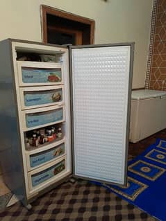 Dawlance Vertical Freezer 6box