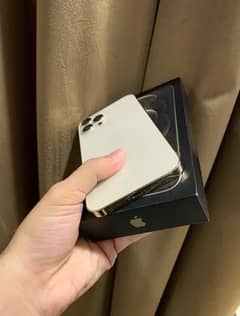 I phone 12 pro max gold pta Approved