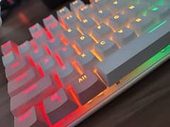 SkyLion H87 80% RGB Gaming Mechanical Keyboard | White/Pink Keypad