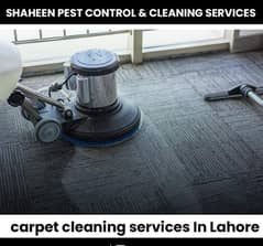 Carpet , sofa, Cleaning,  water tank cleaning