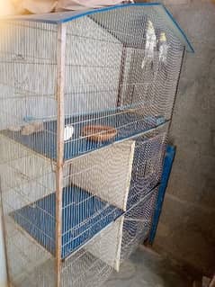 one big cage with cocktail pair
