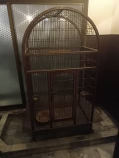 cage for grey parrots