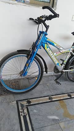 Bianchi cycle