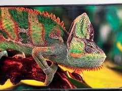 42 inch led without internet non Android panel excellent condition