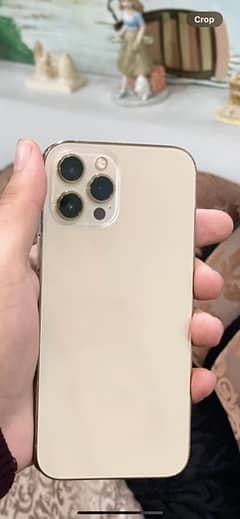 Iphone 12 Pro Max 256 GB PTA approved