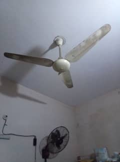 Sk Ceiling Fan And Hayat Bracket Fan Ac/Dc