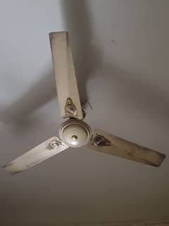 indus ceiling fan