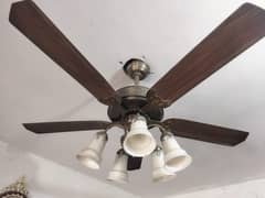 Ceiling Fan 5 Blade with light