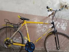 Cycle bilkul new ha