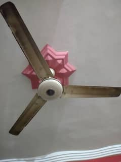 Fan Ceiling