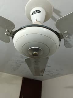 ceiling fan 100 % copper wire