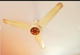 7 months used Fan for sale