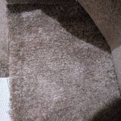 Carpet,