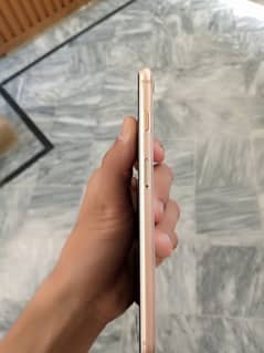 iPhone 8 Plus offical PTA Approved