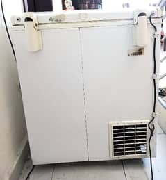 waves single door deep freezer. Used but A one condition.