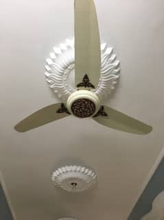 GFC ceilings fans for sale