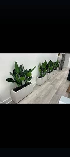 artificial plants