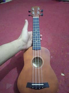 ukulele for sale 7000 only real buyers