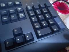 keyboard 10/bay10 condition contact on this number 03080545840