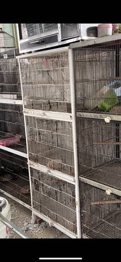 cage 2 pinjra love bird box Dana saf masheen brooder