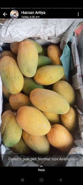 Dosairy Mango Available