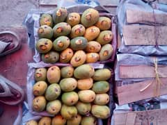 Mango sell online All Pakistan.