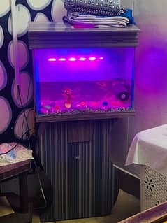 fist aquarium with table and filter with led light of multicolor