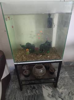 aquarium 2 by 1.5 by 2 foot + stand + ship + pebbles