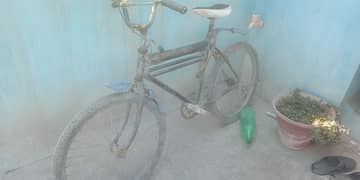 bicycle sale urgent