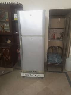 pel fridge full size
