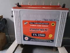 Phoenix Tubular 230 Amp battery TX2500