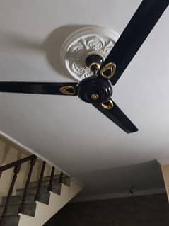 ONE CEILING FAN WITH 100 percent pure Copper  56 inches