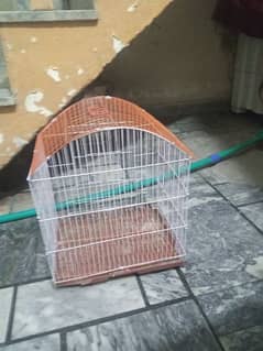 parrot cage final price