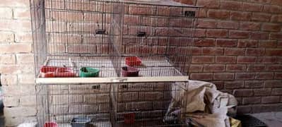 Ali bird cage