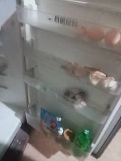 fridge far sale