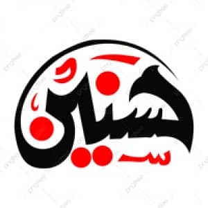 Dr Husnain