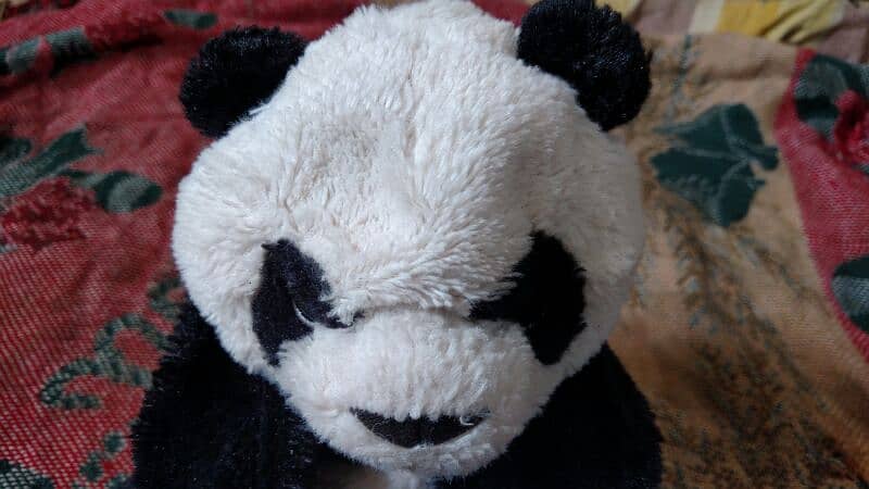 Teddy Bear Kids PANDA fooood me b Panda haha. . . 6