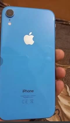 iphone xr (pta approved)