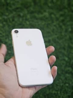 Iphone XR PTA Approved